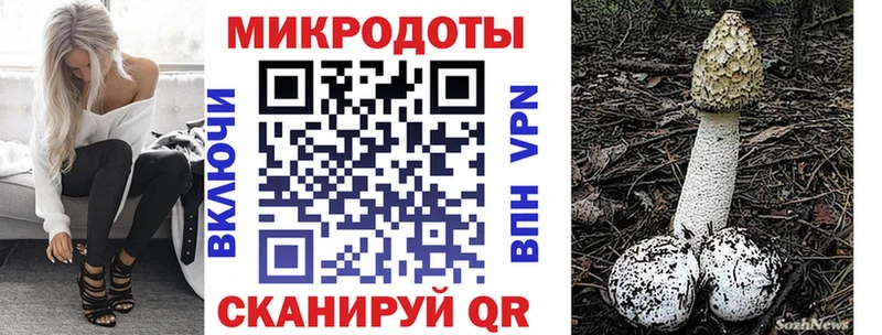 Псилоцибиновые грибы GOLDEN TEACHER Аркадак